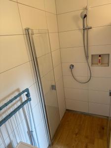 a shower in a bathroom with a glass door at Hofberg Villa - Appartment in Landshut +16 photos