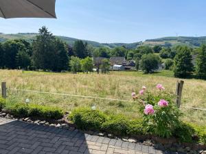 a view of a field with pink flowers at Ferienwohnung Wiesenblick in Plettenberg