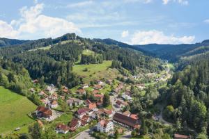 an aerial view of a small village in the mountains at Ferienwohnung im Haus Kreuzthal in Buchenberg