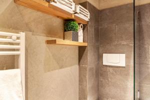 a bathroom with a shower with a shelf with a plant at Haus Excelsior Top 36 in Seefeld in Tirol