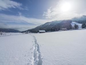 Fotografie z fotogalerie ubytování Das Leonhard - Naturparkhotel am Weissensee v destinaci Weissensee