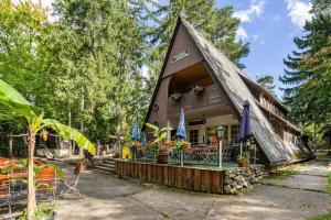 a small house with a thatched roof at Bungalow 18 - Finnhütte in Niesky