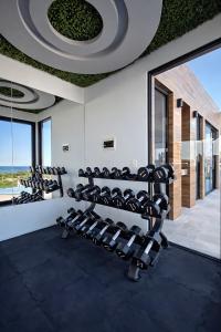 a gym with a lot of treadmills at Luxury Penthouse with Ocean Views and Private Pool in Playa del Carmen
