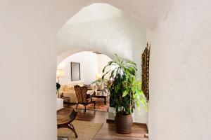 a living room with a potted plant in the entry way at La Guajira in Güime