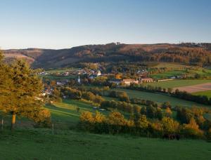 a green field with two horses grazing in a valley at Ferienunterkunft Schrichten in Schmallenberg