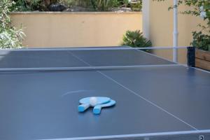 a pair of blue shoes sitting on a tennis court at Appartement N°2 - Piscine Partagée in Lagorce