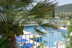 a palm tree on a balcony next to a swimming pool at Appartement N°2 - Piscine Partagée in Lagorce