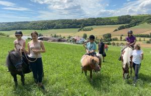 a group of people riding horses in a field at Ferienhof Henn in Weikersheim