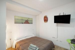 a bedroom with a bed and a flat screen tv at Casa Paula - 13 in Arinaga
