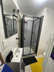 a bathroom with a shower and a sink at Maison Donasete voyageurs in Vieille-Brioude +23 photos
