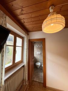 a bathroom with a toilet and a chandelier at Residence Zirmer in Castelrotto +12 photos