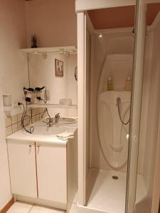 a bathroom with a shower and a sink and a toilet at Chalet Rivage Home in Pont-de-Poitte +34 photos
