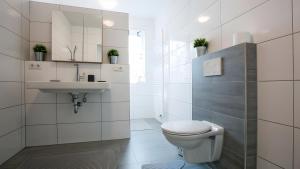 a white bathroom with a toilet and a sink at Apartment by Janzen -E- in Rheine +6 photos