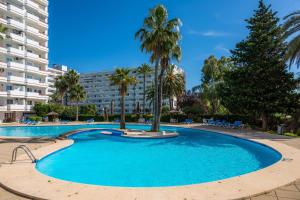 a large swimming pool with palm trees in front of a building at Sweet Sea in Port d'Alcudia