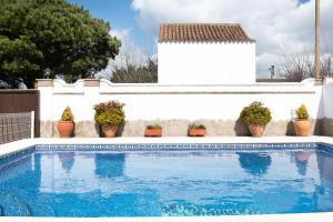 a swimming pool with potted plants and a white house at Villa Elsa in Conil de la Frontera