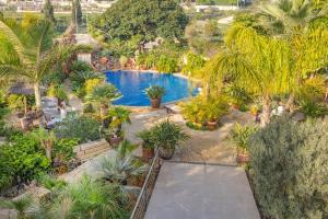 an overhead view of a swimming pool in a garden at Sconto in L'Alfàs del Pi