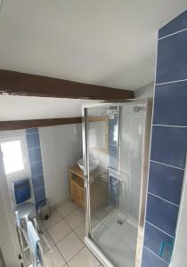 a small bathroom with a shower and a toilet at Gite Le Calcadis in Mostuéjouls