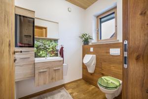 a bathroom with a toilet and a sink at Fewo Mit Herz Und Holz Penzing in Penzing +31 photos