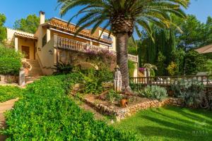 a palm tree in front of a house at Finca Assindia, Costa de los Pinos in Son Servera