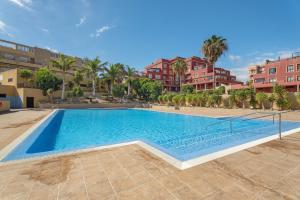 a large swimming pool in a building with palm trees at Sandra La Perla in El Médano
