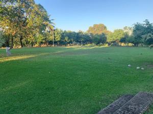 a large field of grass with balls on it at Hotel Mecalco in Huazuntlán