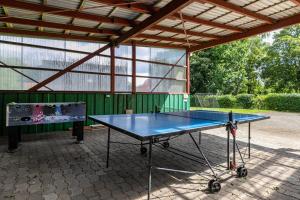 a ping pong table in a pavilion with a ping pong ball at Ferienhaus Magda in Stadum