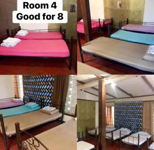 a collage of four pictures of a room with beds at Amigos Homestay in Laguna