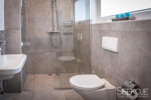 a bathroom with a shower and a toilet and a sink at Seekoje - Haus Am Möhnesee in Möhnesee
