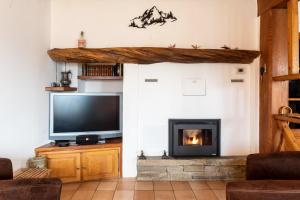 a living room with a television and a fireplace at Volets Verts in Aime-La Plagne