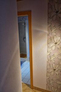a bathroom with a shower stall and a mirror at Chez Jeanne, charmante maison in Dossenheim-sur-Zinsel +15 photos