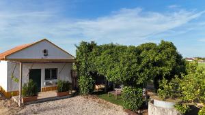 a small white house with a tree in the yard at Casa Trincadeira in Palmela