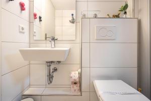 a small bathroom with a sink and a toilet at Tulip Path 3 in Melle +15 photos