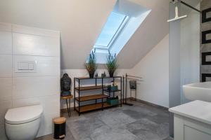 a bathroom with a toilet and a skylight at Haus Agatha in Wasserburg +39 photos