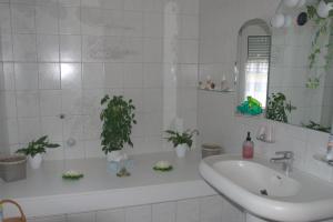 a bathroom with a sink and a tub with plants at Ferienwohnung Gabi in Borken +16 photos
