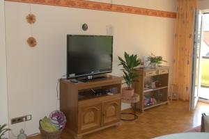 a flat screen tv on a wooden stand in a living room at Ferienwohnung Gabi in Borken