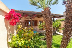 a house with a palm tree and flowers in the yard at House Punta Nera in Palau