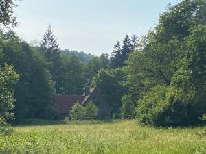 a house in the middle of a field with trees at Fewo1 Am Edersee in Edertal