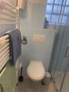 a bathroom with a toilet and a shower at Fewo1 Am Edersee in Edertal +22 photos
