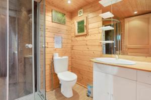 a bathroom with a toilet and a sink at Joli Chalet en bois mésange bleu in Roquebrune-sur-Argens
