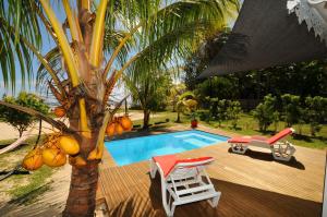 a pool with a palm tree and a chair and a table at Chalet Cardinal in Riambel
