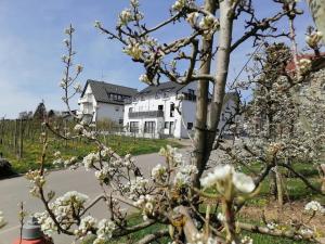 a flowering tree in front of a white house at Haus Agatha in Wasserburg