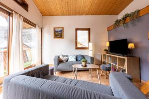 a living room with a couch and a tv at La maison d’Anthelmette in Valloire