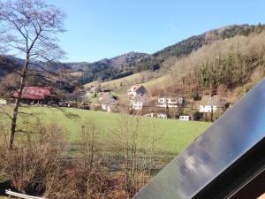 a view from a window of a field and houses at Ferienwohnungen Steiert in Freiburg im Breisgau