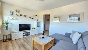 a living room with a blue couch and a tv at Haus Rosenfelder Fewo Abendsonne in Bernau im Schwarzwald