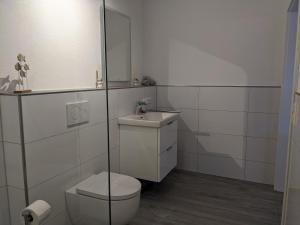 a white bathroom with a toilet and a sink at Fewo New Oberdorf in Fautenbach +13 photos