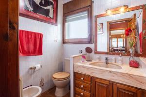 a bathroom with a sink and a toilet and a mirror at Can Mussol in Sant Hilari Sacalm +16 photos