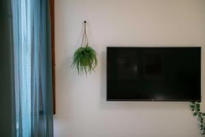 a flat screen tv hanging on a wall with a plant at Piave House - Pisa in Pisa