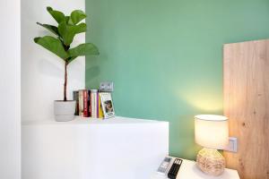 a plant on a white shelf with a lamp and books at El chiringuito in Candelaria +19 photos