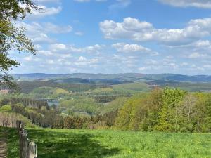 a view of a green field with a fence at Ferienwohnungen Schimsheimer Rhode in Olpe