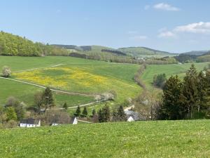 a green hill with yellow flowers in a field at Ferienwohnungen Schimsheimer Rhode in Olpe +43 photos